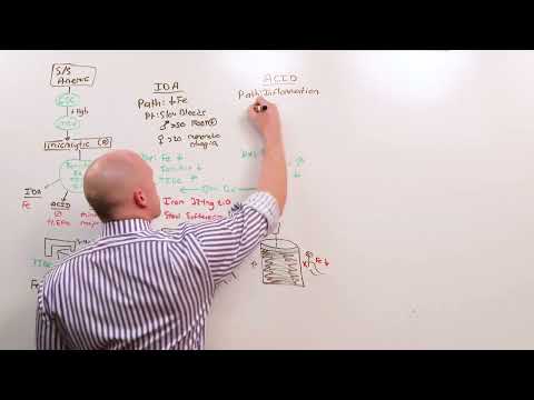 3. Microcytic Anemia (Hematology)