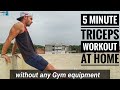 5 minute Triceps workout at home without any Gym equipment // karki fitness