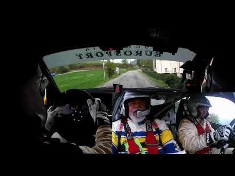 38° Rally App. Reggiano 2017 D'ARCIO L. - GOZZO P. CLIO A7 PS5 SAN POLO