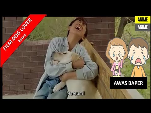 Film korea film anjing ma eum i dog lover sedih persahabatan sub indonesia
