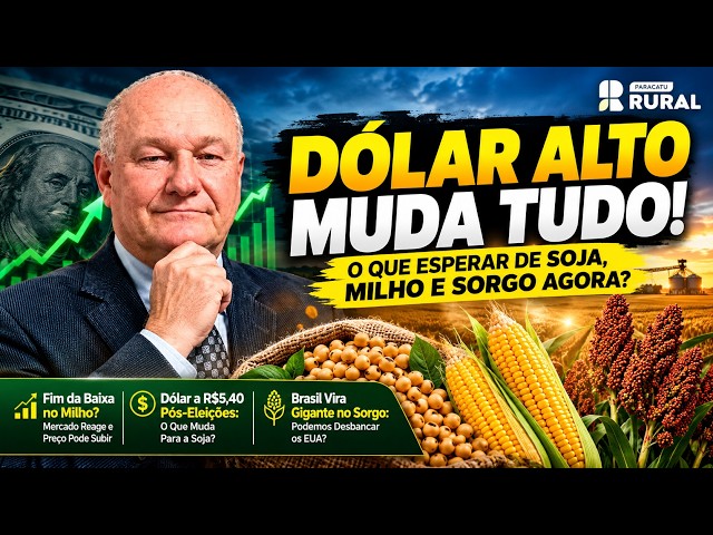 Dólar Alto Muda Tudo: O Que Esperar de Soja, Milho e Sorgo Agora?