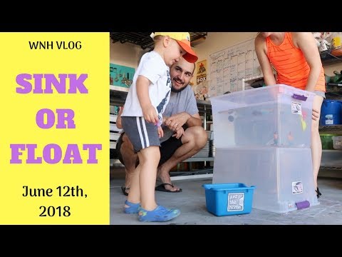 WNH Vlog: Ep. 6 Part1 (June 12th, 2018)