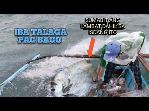 UNANG PAGBATAK NG BAGONG LAMBAT ANO KAYA ANG HULI #netfishing #lobsterfishing #adventure