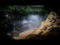 The Phantom Baying Hound of Old Man's Cave at Hocking Hills State Park
