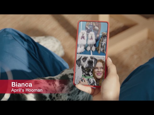 Target – The Pets of Tarjay