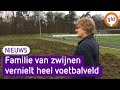 ‘We zien hier de droevige restanten van het bezoek van een familie everzwijnen’