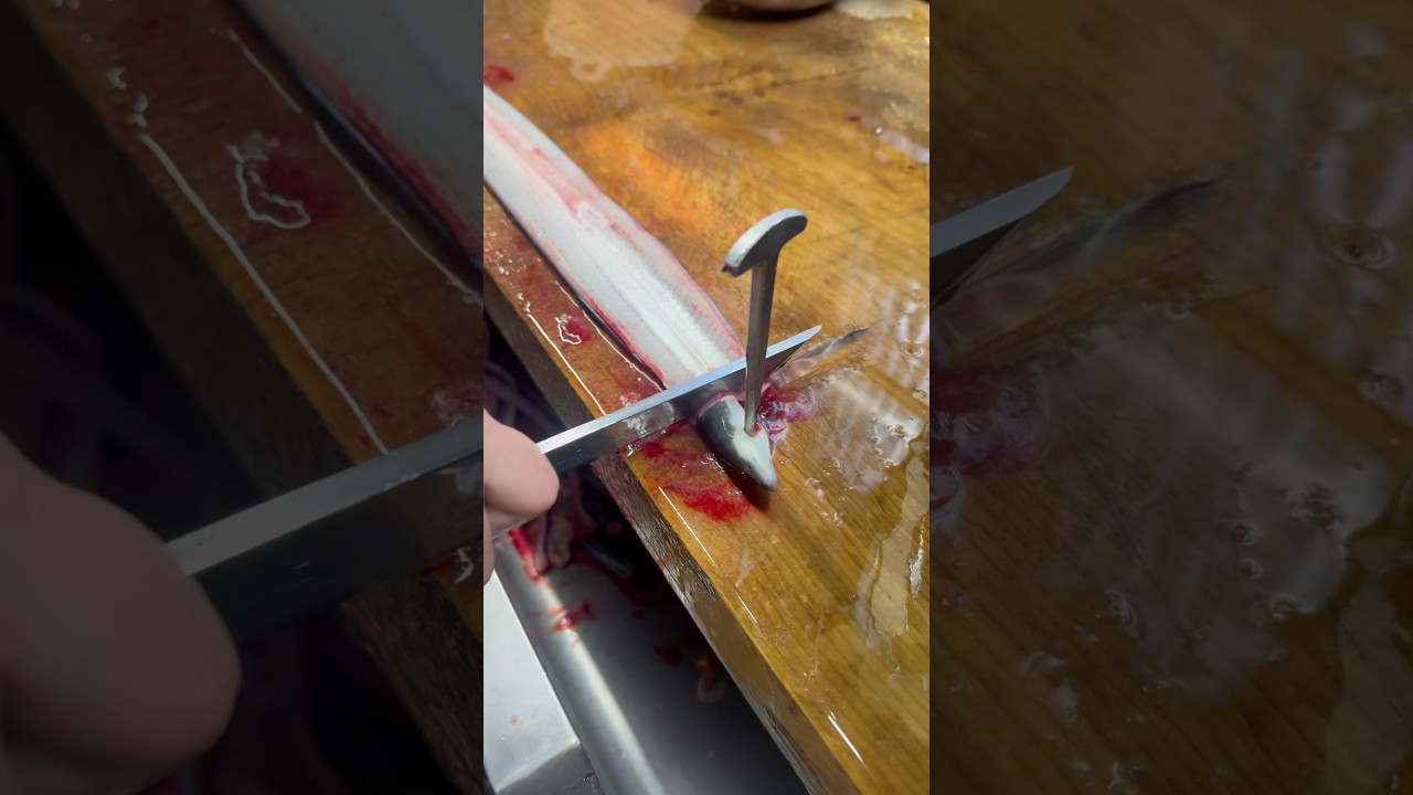 I am an eel craftsman and am currently in training. This is my third year.#eel #cuttingskills