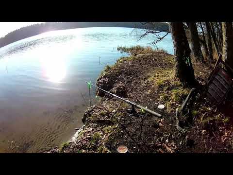 #1 PREZENTACJA KANAŁU R&R RICZMOND FISHING & PLEASURE HUNTING