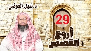 قصة مريم الطاهرة