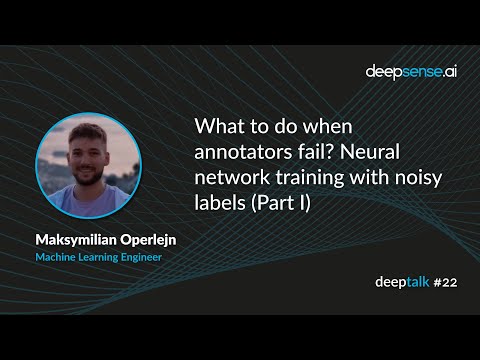 What to do when annotators fail? Neural network training with noisy labels (Part I)