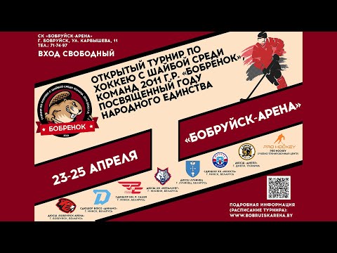 24.04.2021. Бобрёнок-2011. ЛП. Днепр - Металлург-2