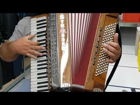 Klangprobe Akkordeon Strasser 45/120 Cassotto a mano