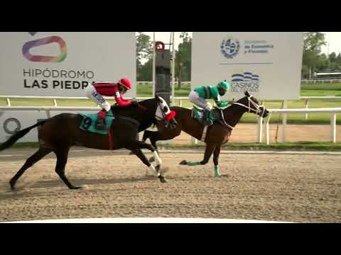 220211 c07 - WIR DANCER  - HIPODROMO LAS PIEDRAS