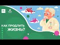 Как продлить жизнь? / ПостНаука