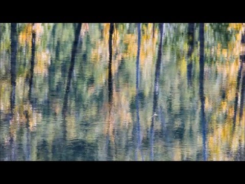 River (Joni Mitchell) - Holly Tomás (free download)