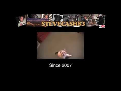 Talking Kitty Cat 34 - Save Gibson