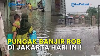Download lagu WASPADA❗ PUNCAK BANJIR ROB DI JAKARTA HARI INI mp3