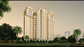 Legacy Cataleya - Have You Felt Privileged Lately?