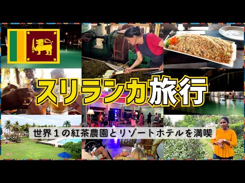 [Sri Lanka] Presentamos el té recomendado y los hoteles turísticos recomendados. Parte 2 de 4 noches y 5 días en Sri Lanka