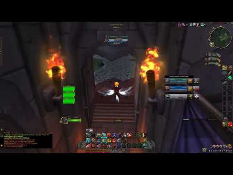 5-1 Fury Warrior PVP Dragonflight 10.1
