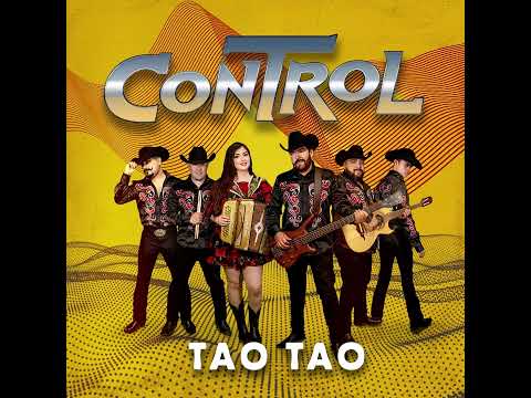 CONTROL - TAO TAO