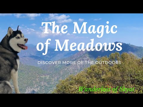 Hidden Treasure|Nainital