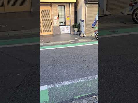 当院、にしかわオステオパシー前の道で、木の葉がまあるくダンスをしています。一気に冬到来の気配です。(越谷市蒲生駅)　　　#shorts #蒲生 #にしかわオステオパシー