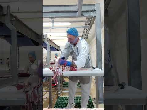 tranșare spata de vita