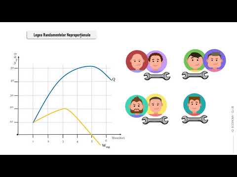 Teoria producătorului – Costul de producție