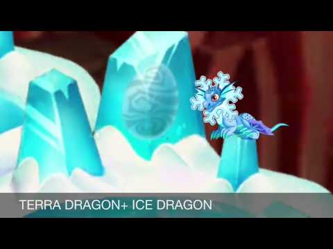 3 solutions to breeding dragons