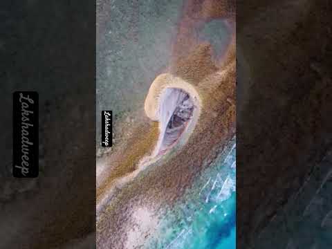 chetlat island Bangram agatti Kavarathi #indianisland #vbloger #trending #viral #lakshadweep #ocean