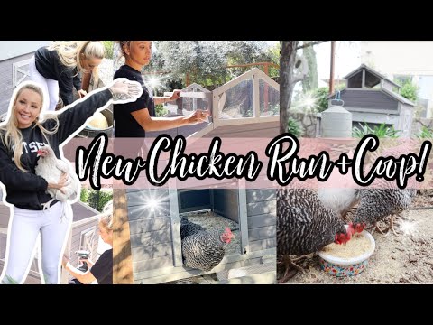 , title : '🐣 NEW AIVITUVIN CHICKEN COOP AND CHICKEN RUN BUILD WITH ME 🐣'