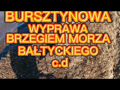 BURSZTYNOWEJ WYPRAWY DALSZY CIĄG (EXPEDITION IN SEARCH OF AMBER)