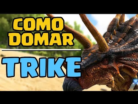 Como domar um trike fácil !!!