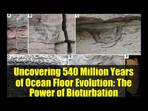 Uncovering 540 Million Years of Ocean Floor Evolution: The Power of Bioturbation