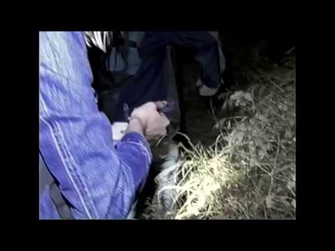 PHOENIX FORGOTTEN ( 2017) Clip #1 HD, Ridley Scott