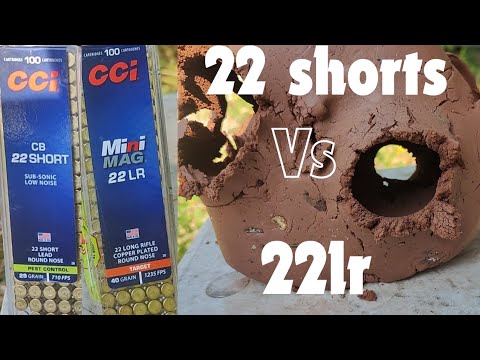 22 short vs 22 long rifle