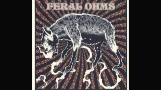 Feral Ohms - Living Junkyard Single - Valley King Records