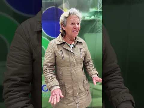 📣 Você conhece o Procon de Almirante Tamandaré?