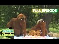 Snuffleupagus Picnic In Central Park Sesame Street Classics Full Episode