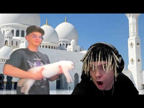 MULTI ogląda KONOPA‼️