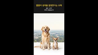 품종이 성격을 결정한다는 오해 #Shorts