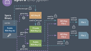 Malware Analysis - Exploring Spora's Encryption Procedure