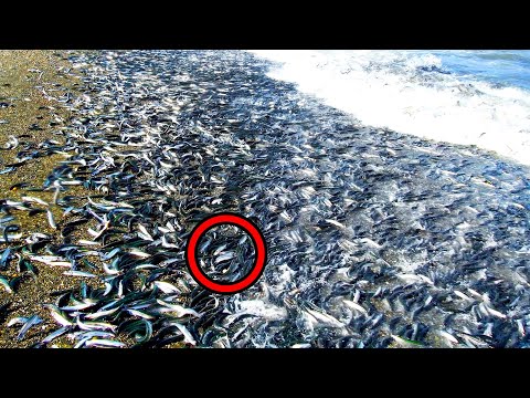 15 Inspiegabili Fenomeni Naturali Che Non Smettono Di Affascinarci