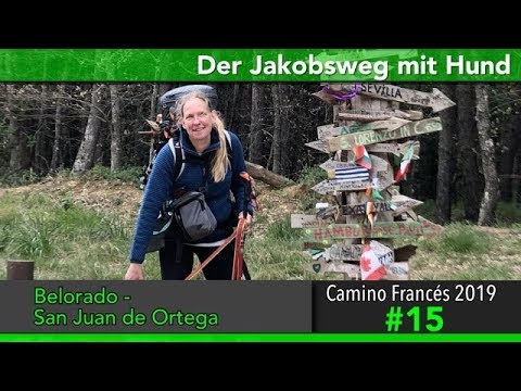 Jakobsweg mit Hund - Doku 2019 4K Tag 15: Belorado nach San Juan de Ortega | Camino Santiago Frances