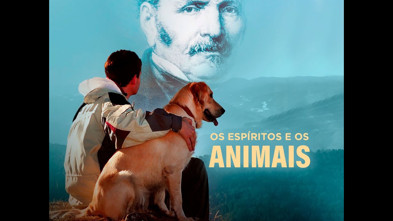 Quando o Meu Pet morre para onde ele vai no mundo espiritual Visão Espírita