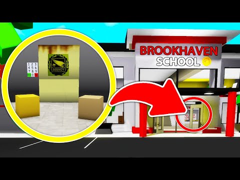 Brookhaven School is HIDING a BIG SECRET!
