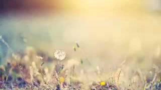 Probe-One - Strata [mix cut]