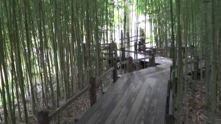 preview picture of video 'San Marino, California - Huntington Botanical Gardens Japanese Garden HD (2014)'