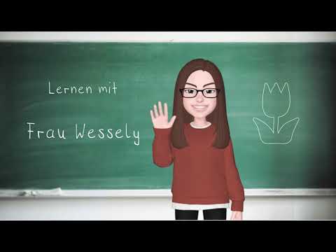 Das Tulpenjahr - Frühblüher